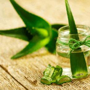 Clear Aloe Extract White 200 × Spray Dried