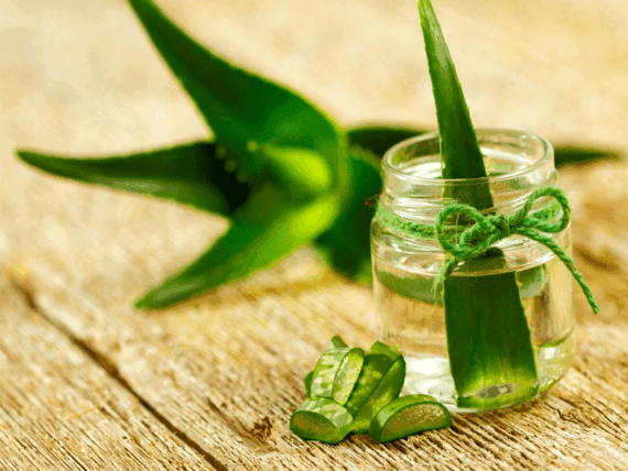 Clear Aloe Extract White 200 × Spray Dried