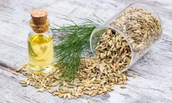 Fennel Oil Sweet