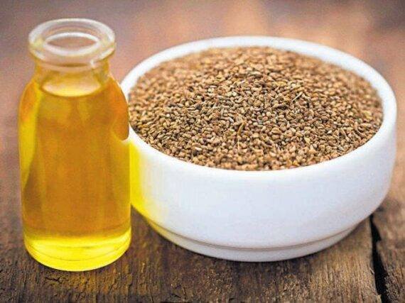 Ajowain Oil
