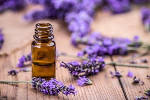 Lavender Oil: Aromatherapy Oil