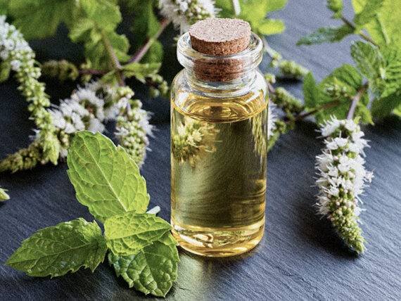 Spearmint Oil