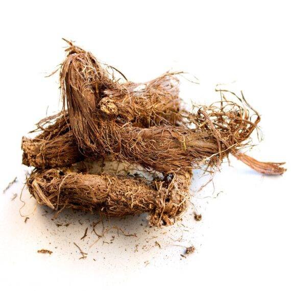 Spikenard Essential Oil