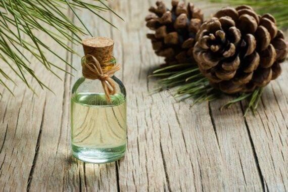 Turpentine Oil