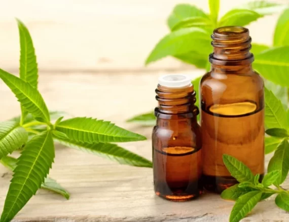Verbena Essential Oil