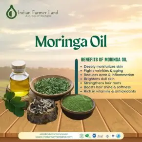 Moringa Oil