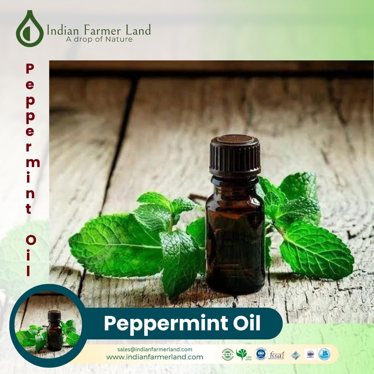  Peppermint Oil 